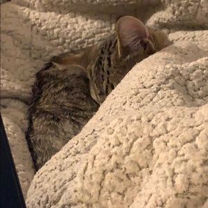 Meet your Posher, Greg